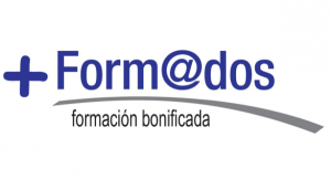 Curso homologado (FLC Y FMF) de Nivel Básico en PRL Sector Construcción - FORM@DOS