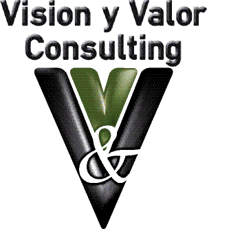 Vision y Valor Consulting S.L