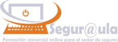 Curso gestion de la red comercial de seguros - Segura Aula