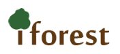 Curso de Contabilidad Financiera + Contaplus - Iforest