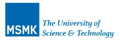 Grado en Ciberseguridad - MSMK The University of Science & Technology