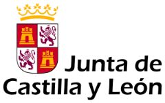 Máster de Comercio Exterior y Digital Business - Junta de Castilla y León