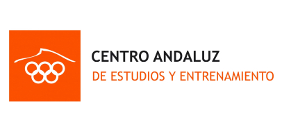 Curso Superior de Dirección De Seguridad - Centro Andaluz de Estudios