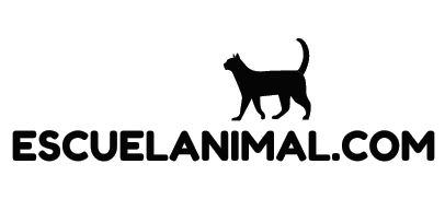 Curso de Peluquería canina - ESCUELANIMAL