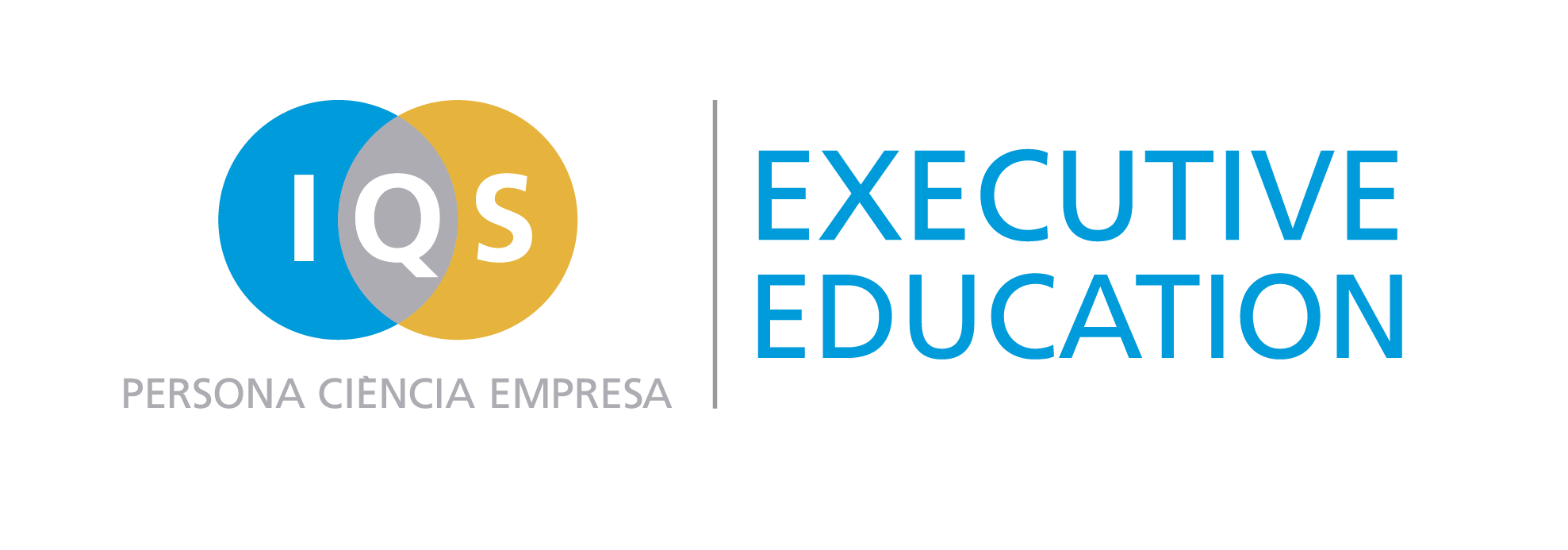 Curso De Liderazgo, Influencia Y Habilidades Comunicativas En Compras - IQS Executive Education