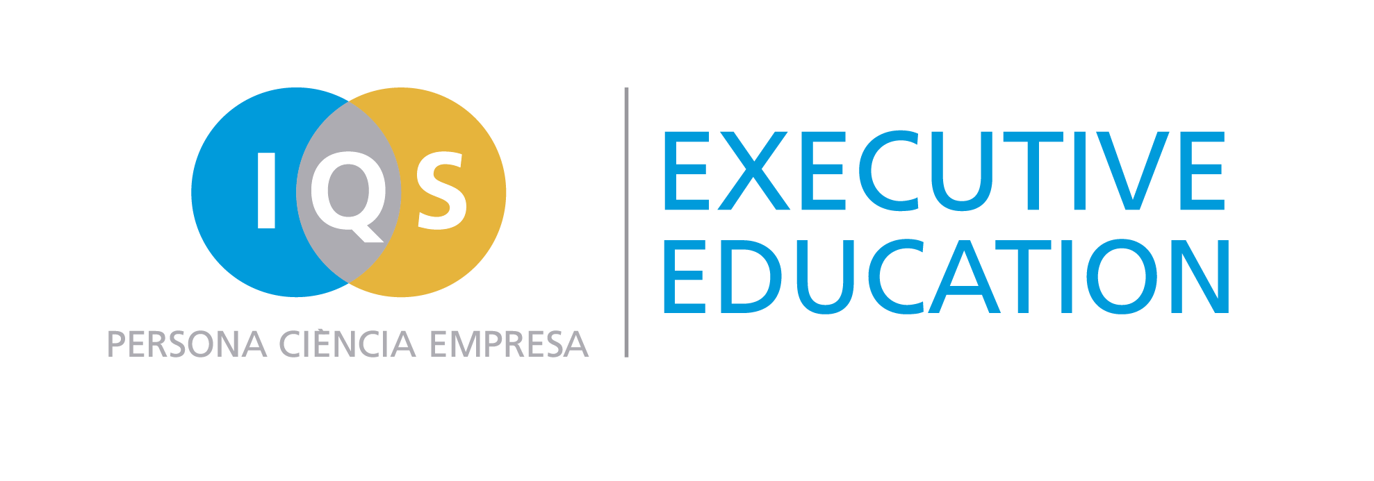 Curso de Project Management - IQS Executive Education