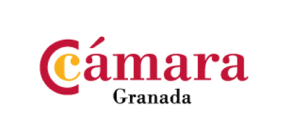 Experto en Comercio Internacional - Ediae Escuela de Dirección y Altos Estudios de Cámara Granada