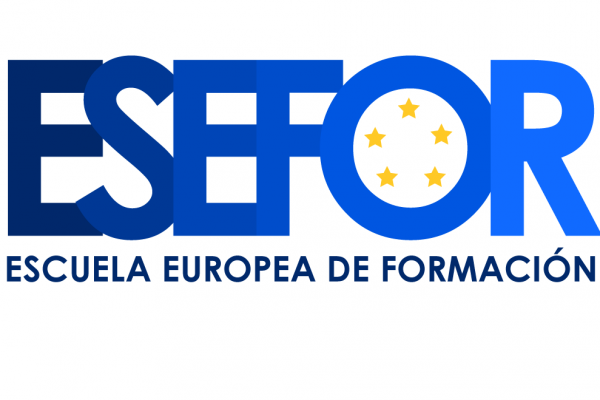 Técnicas avanzadas de diseño web - ESEFOR Escuela Europea de Formación