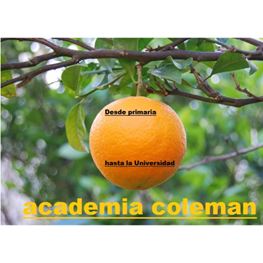 Alemán - Academia Coleman
