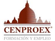 Curso superior en Urgencias por Intoxicaciones - Cenproex