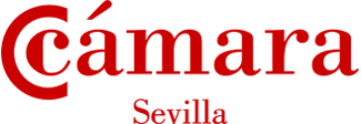 Máster Privado Técnico en Diseño Gráfico, Web y Creatividad - Escuela de Negocios Cámara de Sevilla