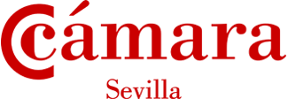Master en Dirección y Gestión de Recursos Humanos - Escuela de Negocios Cámara de Sevilla