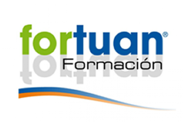 Curso ERP SAP Finanzas (FI) Consultoria. Presencial - Fortuan