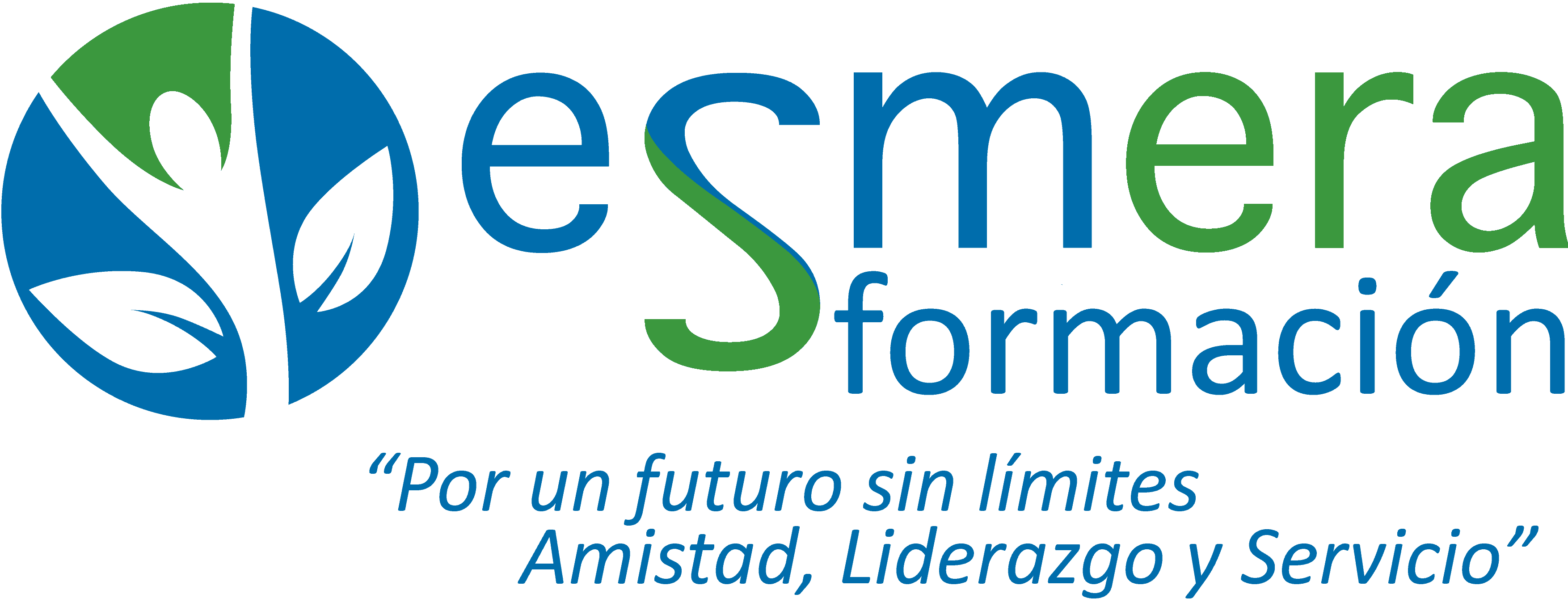 Título Académico: Curso profesional de Quiromasaje - Esmera Formación