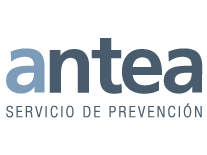 Curso de Talleres de Reparación de Vehículos C.13 - Antea Formación