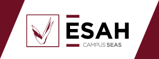 Diploma de Especialización Universitaria en Organización de Congresos y Eventos - ESAH, Estudios Superiores Abiertos de Hostelería