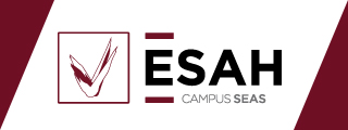 Diploma de Especialización en Enología - ESAH, Estudios Superiores Abiertos de Hostelería