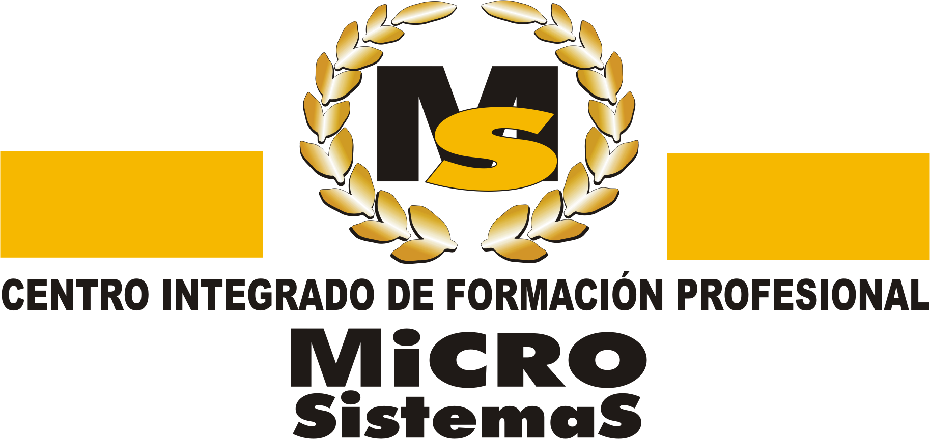 Logotipo Microsistemas Lanzarote